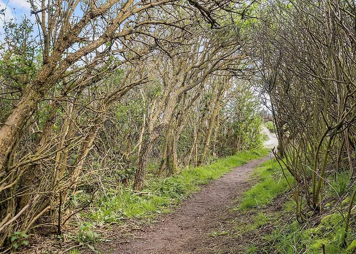 5536 Hvide Sande - Laust Diges Vej 9 Ferienhaus