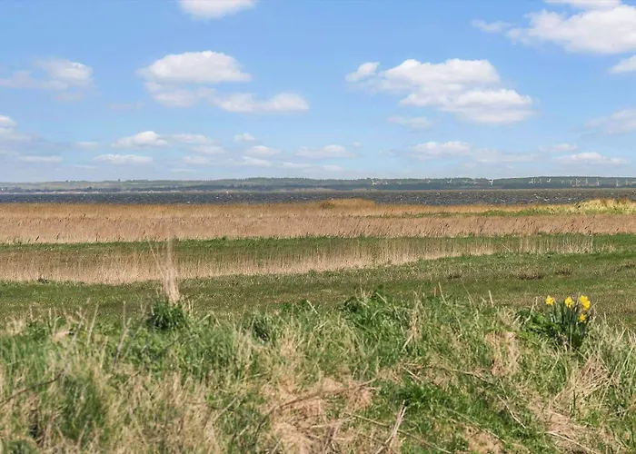 Ferienhaus 5536 Hvide Sande - Laust Diges Vej 9